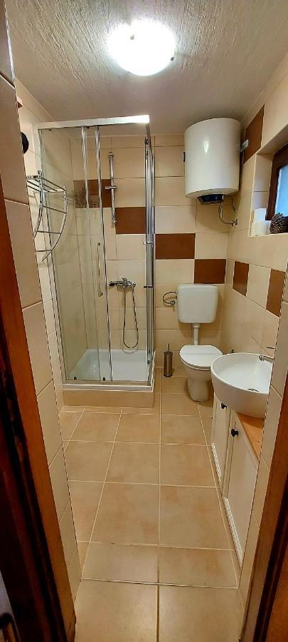Studio Apartman Buteo Jastrebarsko Zewnętrze zdjęcie
