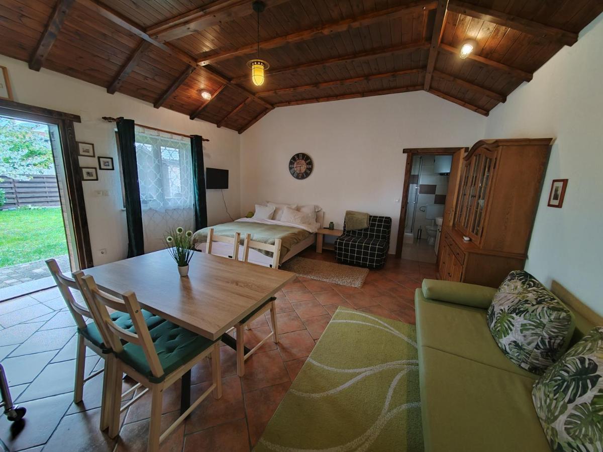 Studio Apartman Buteo Jastrebarsko Zewnętrze zdjęcie
