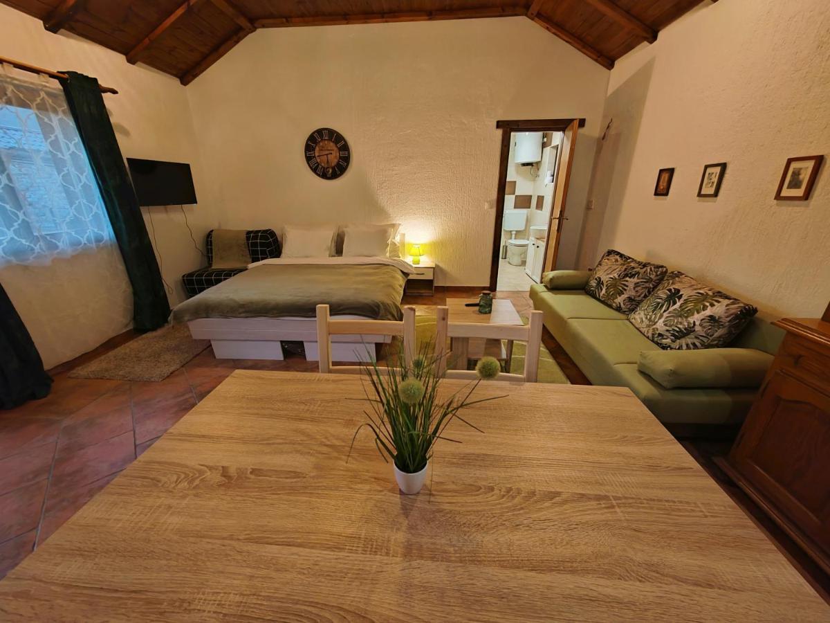 Studio Apartman Buteo Jastrebarsko Zewnętrze zdjęcie