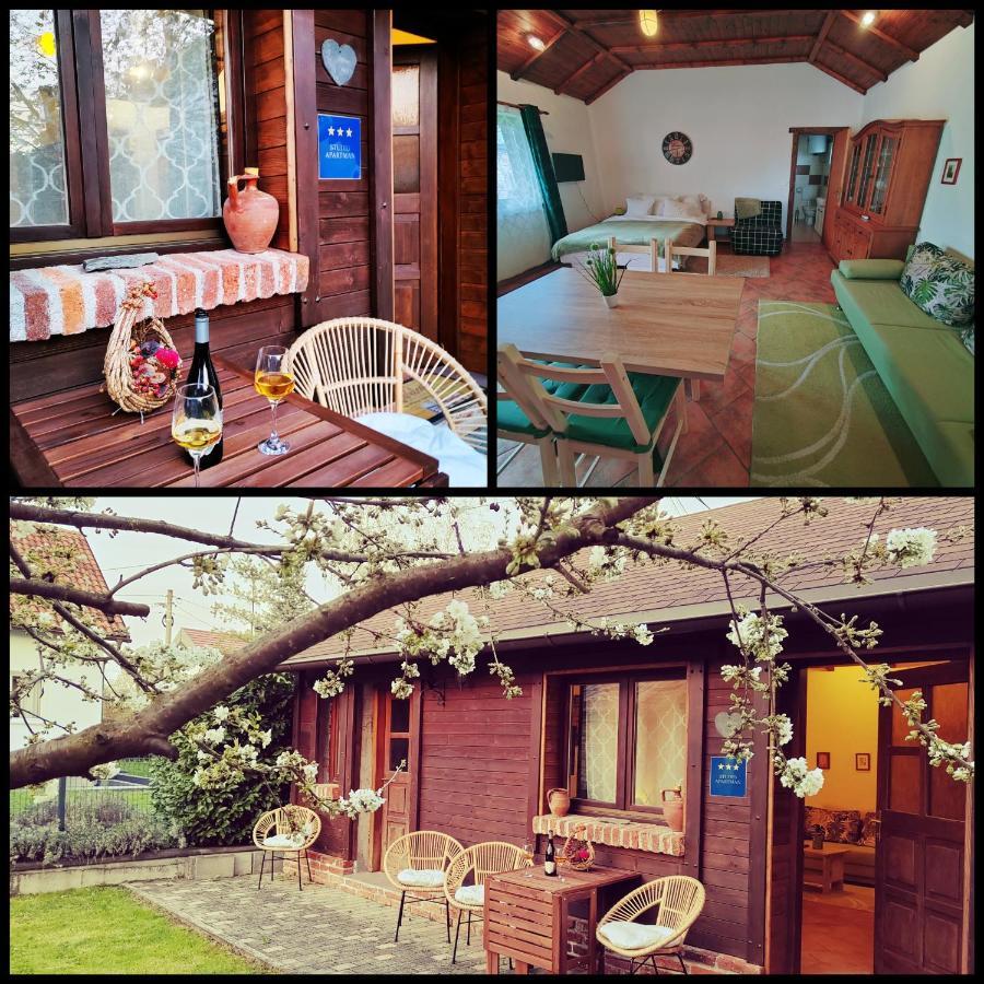 Studio Apartman Buteo Jastrebarsko Zewnętrze zdjęcie